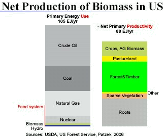 Net Production of Biomass in US